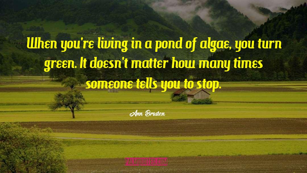 Algae quotes by Ann Braden