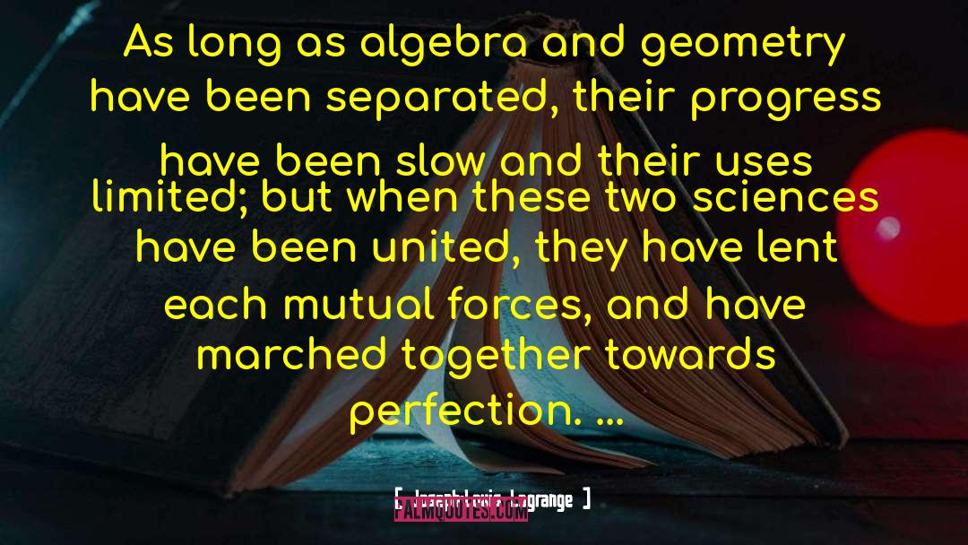 Algebra quotes by Joseph-Louis Lagrange