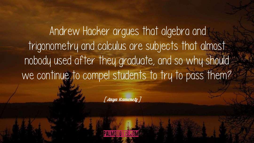 Algebra quotes by Anya Kamenetz