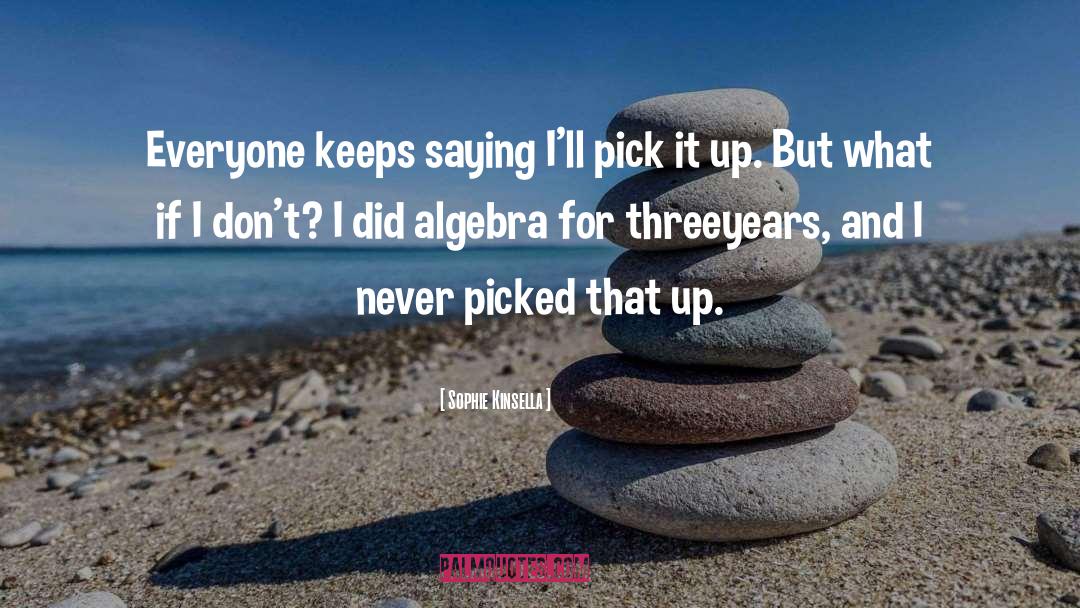Algebra quotes by Sophie Kinsella