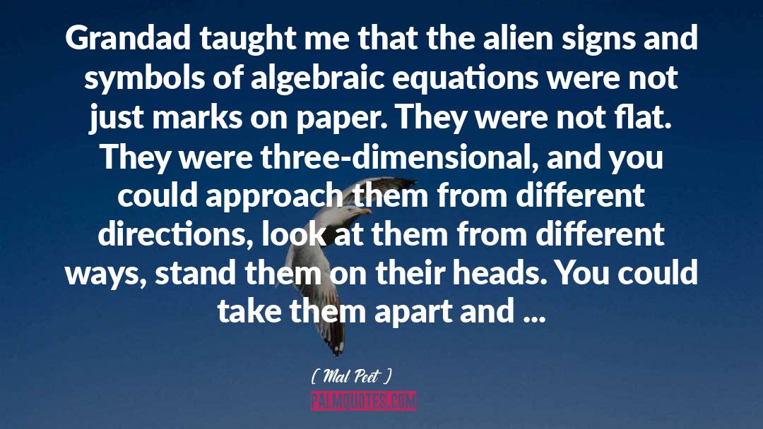 Algebra quotes by Mal Peet