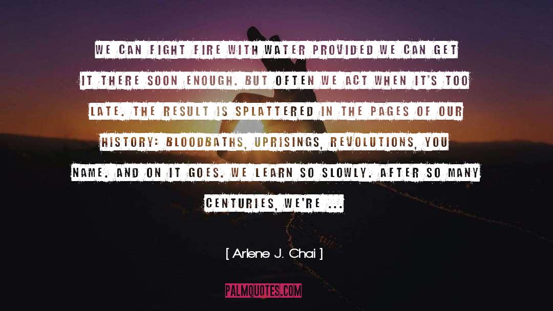 Algerian Revolution quotes by Arlene J. Chai