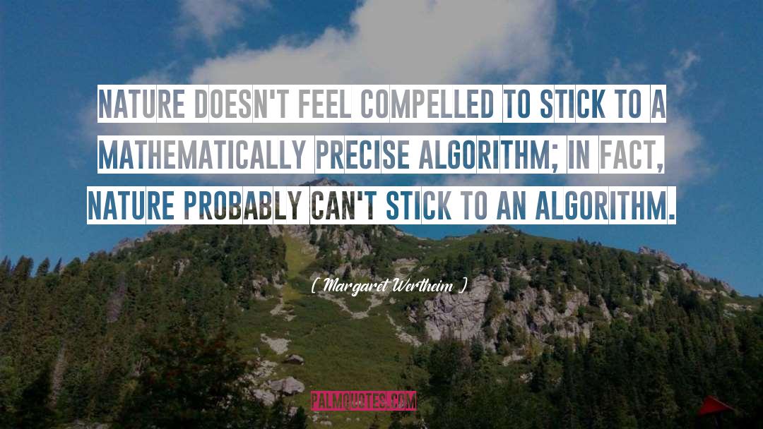 Algorithms quotes by Margaret Wertheim