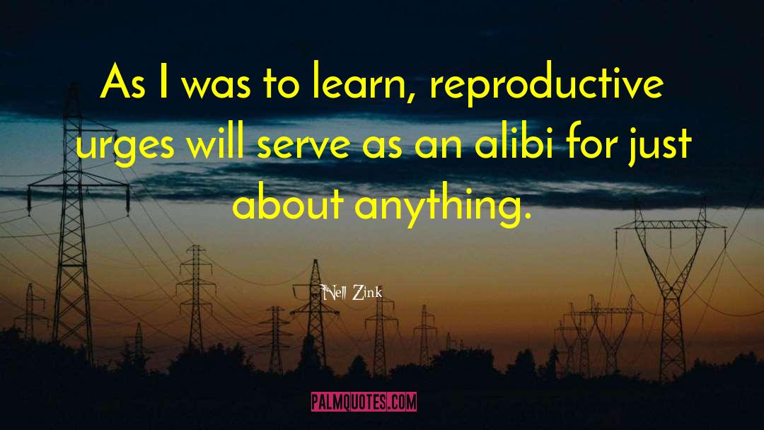 Alibi quotes by Nell Zink