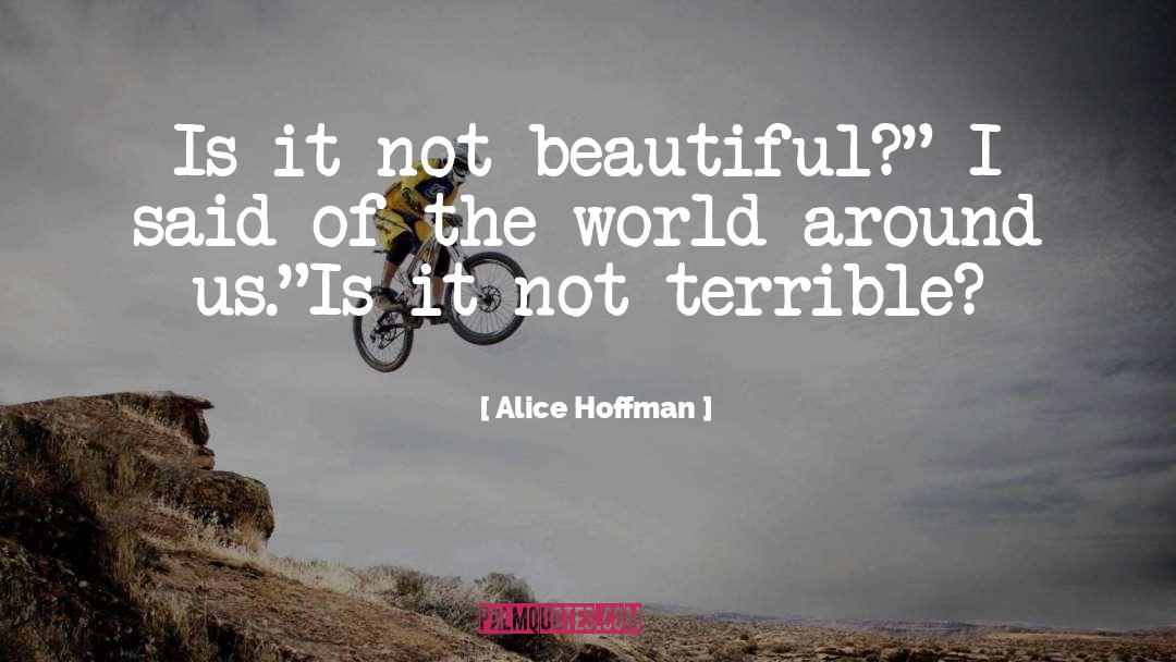 Alice Bell quotes by Alice Hoffman