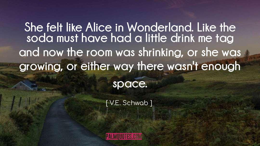 Alice In Wonderland Mad quotes by V.E. Schwab