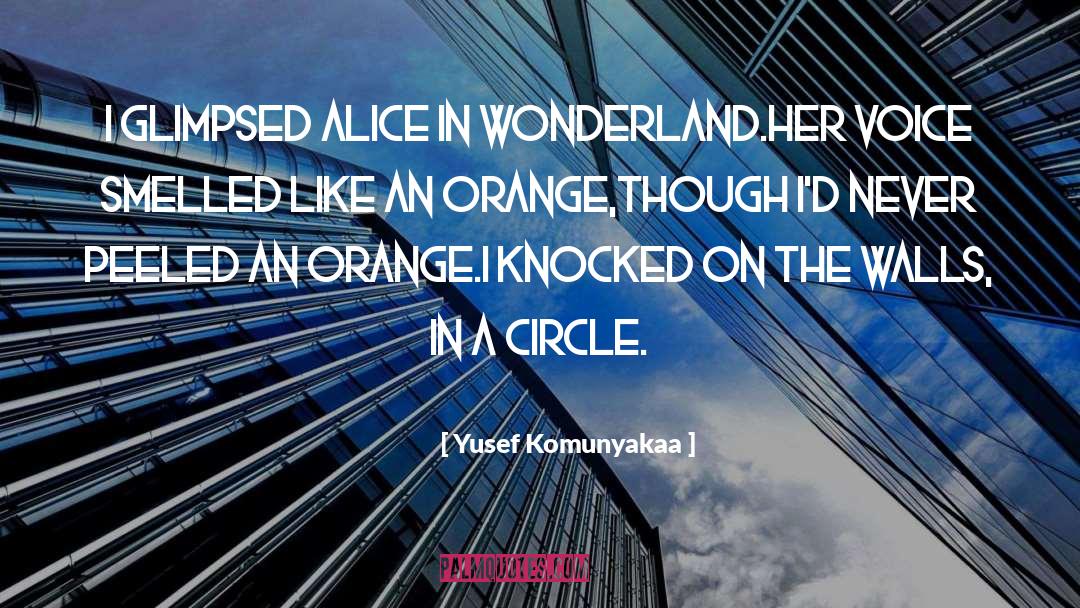 Alice In Wonderland quotes by Yusef Komunyakaa