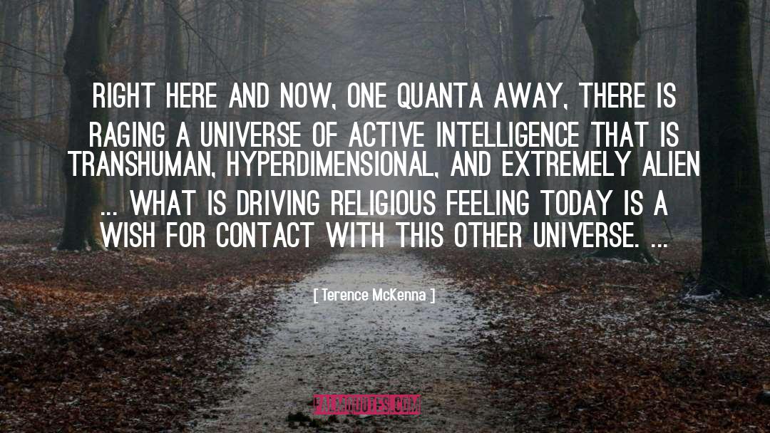Alien Huntress quotes by Terence McKenna
