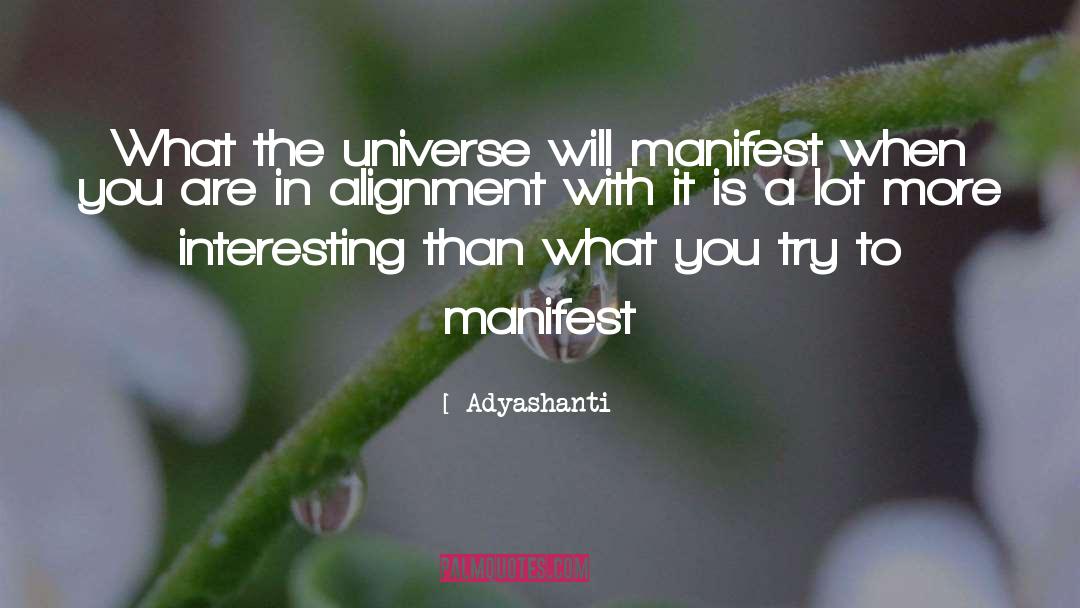 Alignment quotes by Adyashanti