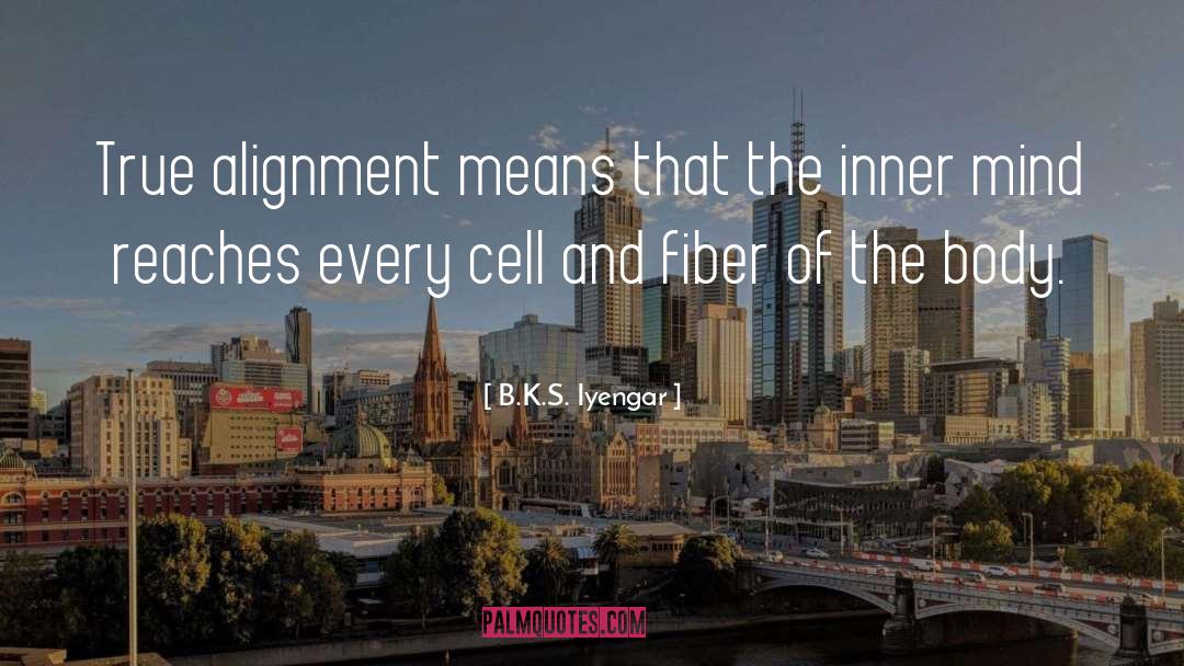 Alignment quotes by B.K.S. Iyengar