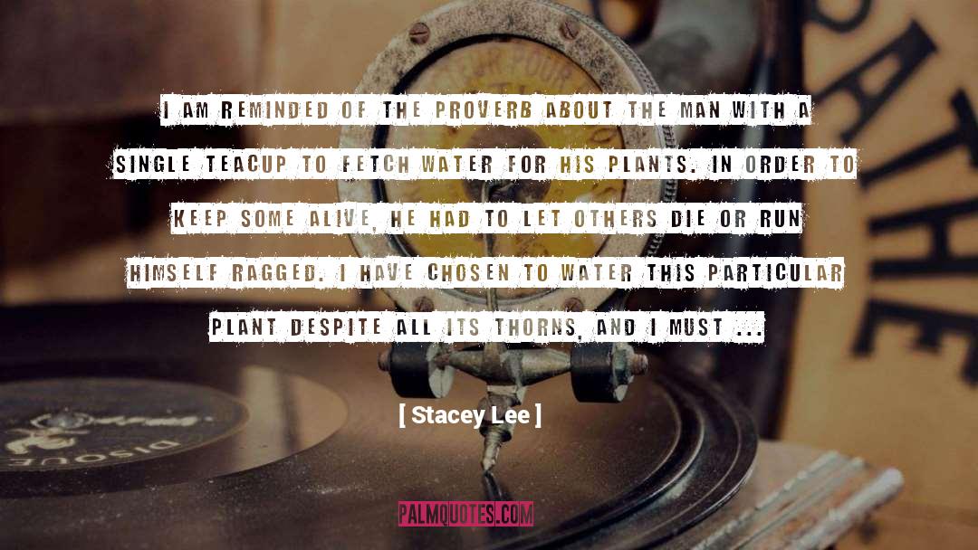 Alive quotes by Stacey Lee