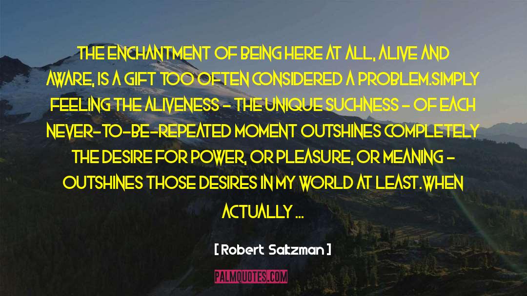Aliveness quotes by Robert  Saltzman