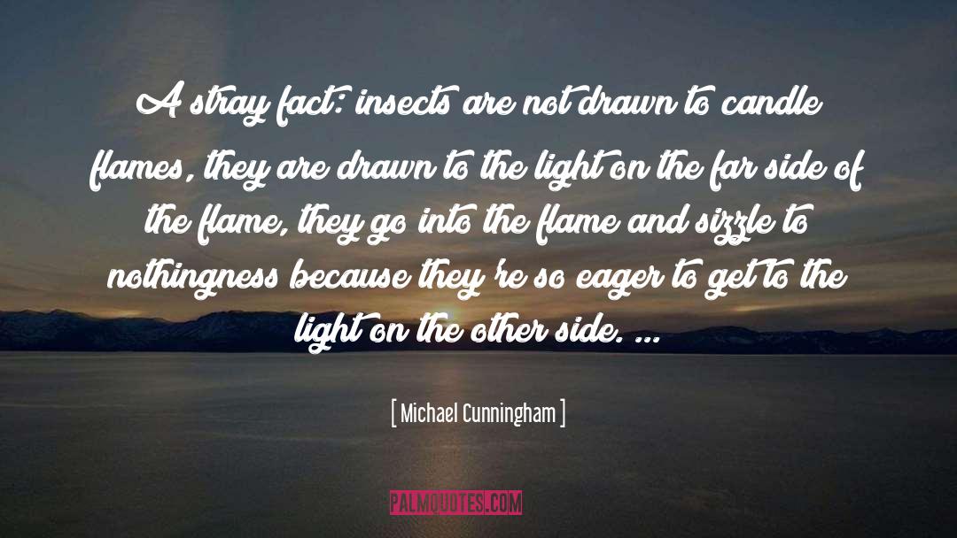 Alixx Candle quotes by Michael Cunningham