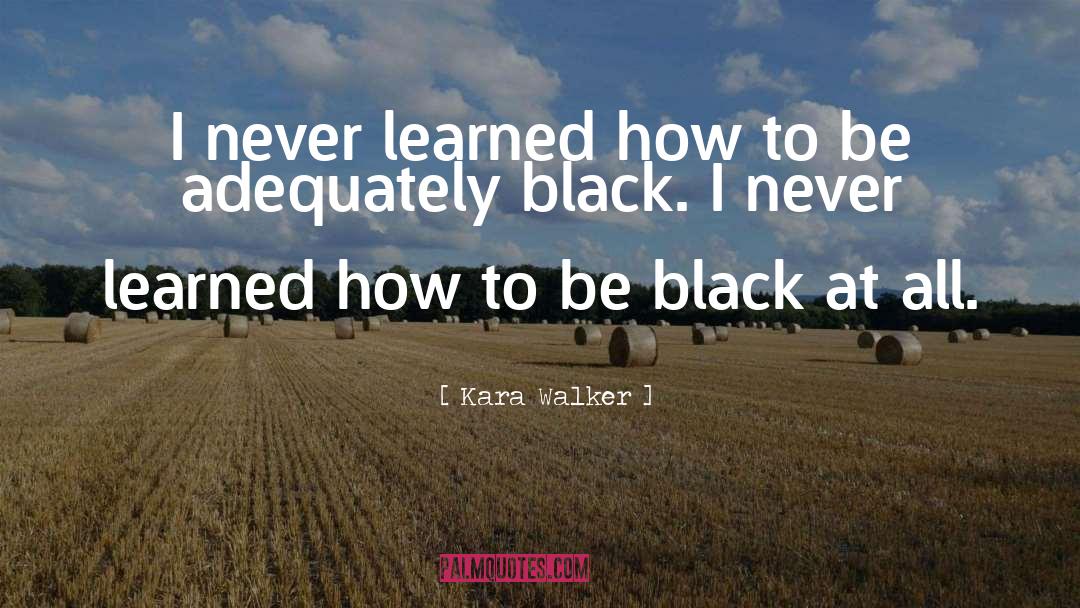 All Black quotes by Kara Walker