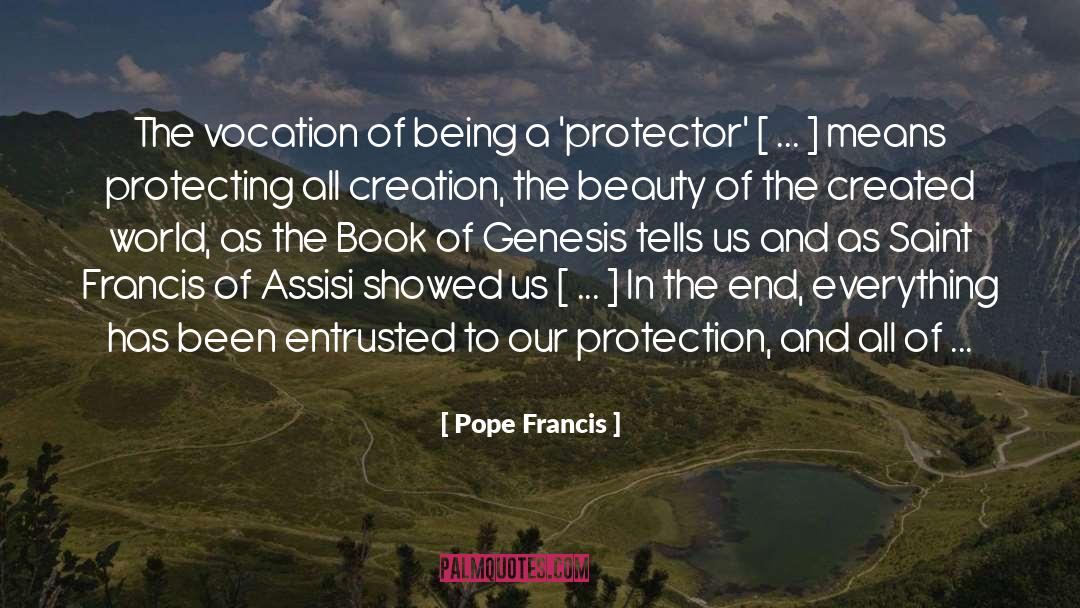 All Creation quotes by Pope Francis