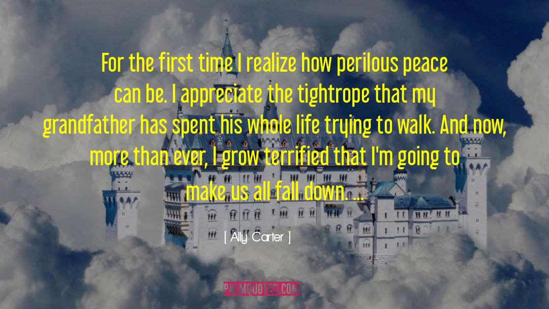 All Fall Down quotes by Ally Carter
