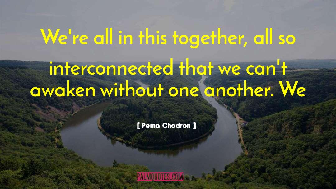 All In This Together quotes by Pema Chodron