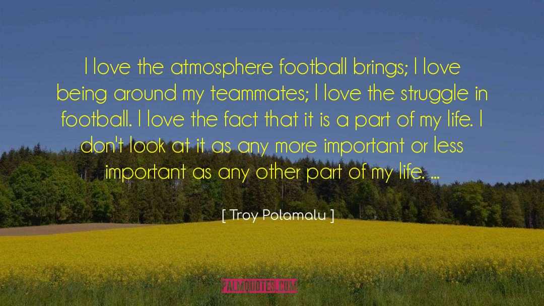 All Is Love quotes by Troy Polamalu