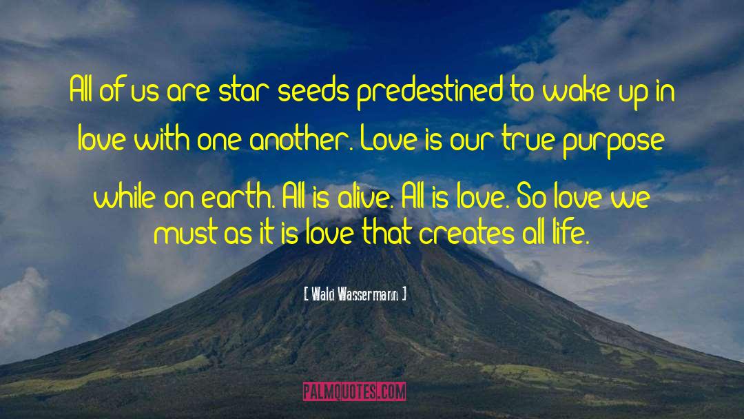 All Is Love quotes by Wald Wassermann