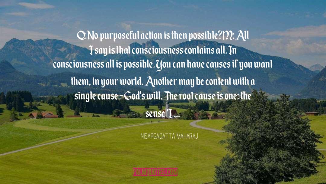 All Is Possible quotes by Nisargadatta Maharaj