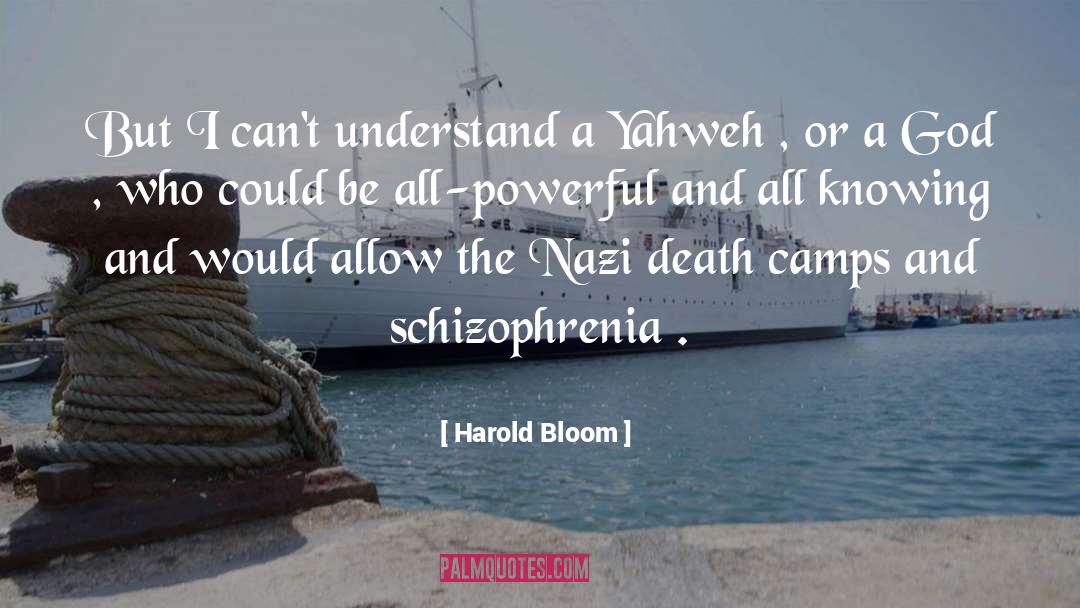 All Knowing quotes by Harold Bloom