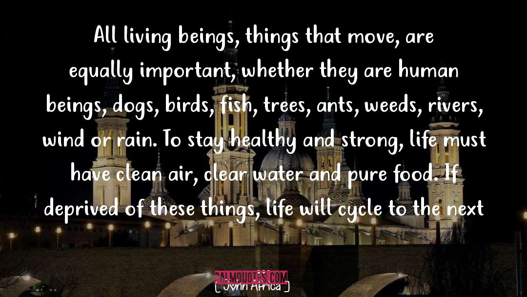 All Living Beings quotes by John Africa