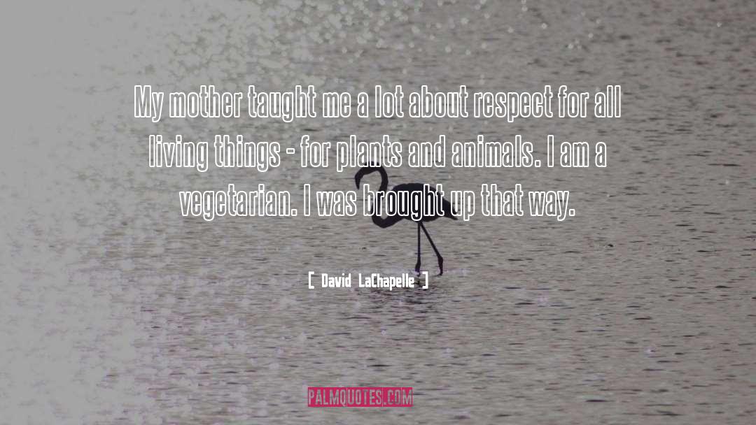 All Living Things quotes by David LaChapelle