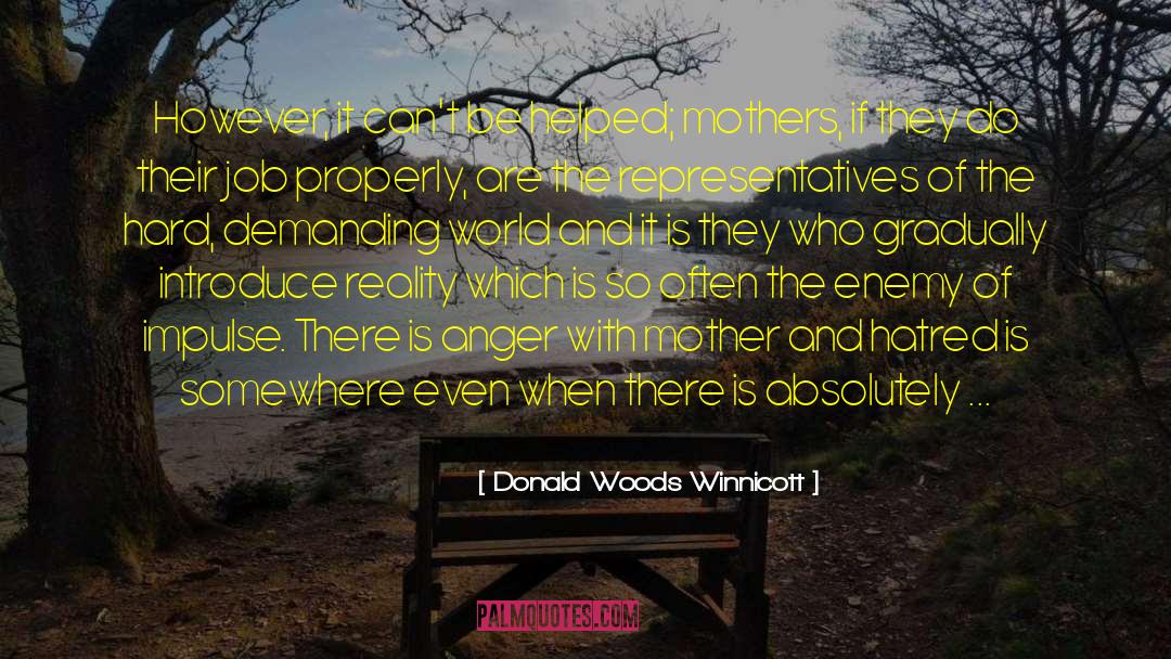 All Mother quotes by Donald Woods Winnicott