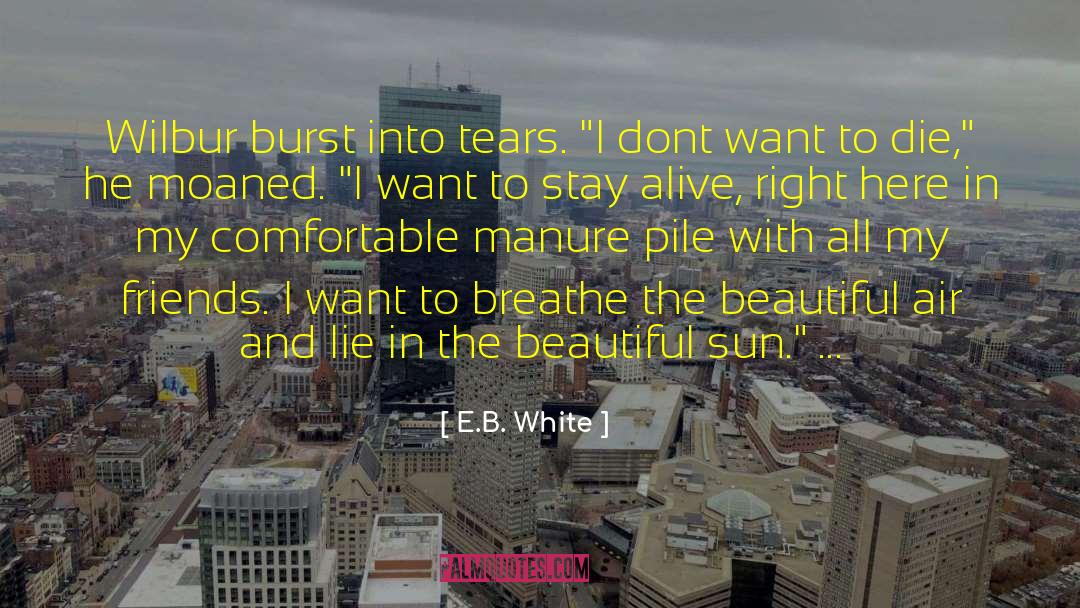 All My Feelings quotes by E.B. White