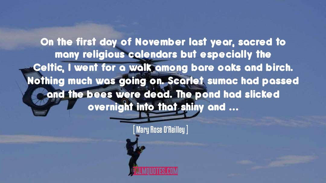 All Saints Day quotes by Mary Rose O'Reilley