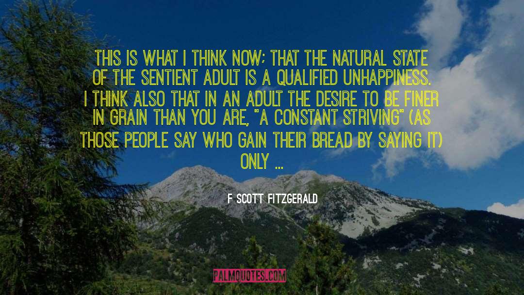 All State quotes by F Scott Fitzgerald