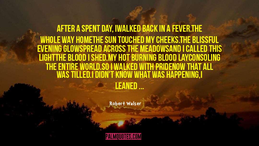 All Was Well quotes by Robert Walser