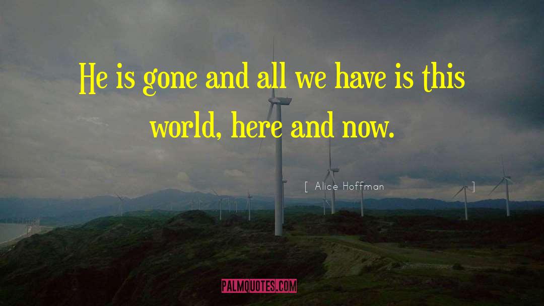 All We Have Is Eachother quotes by Alice Hoffman
