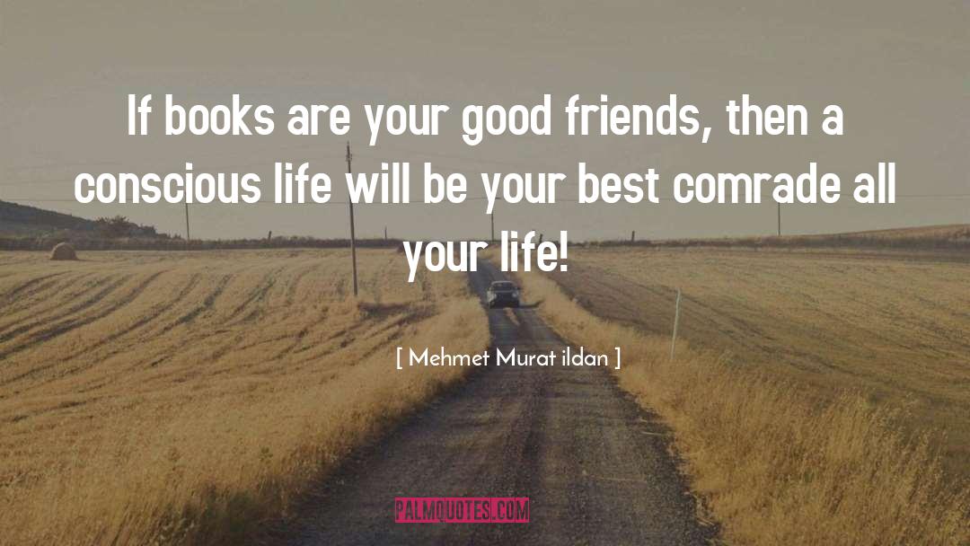 All Your Life quotes by Mehmet Murat Ildan