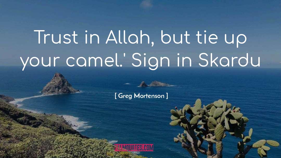 Allah Is Best Planner quotes by Greg Mortenson
