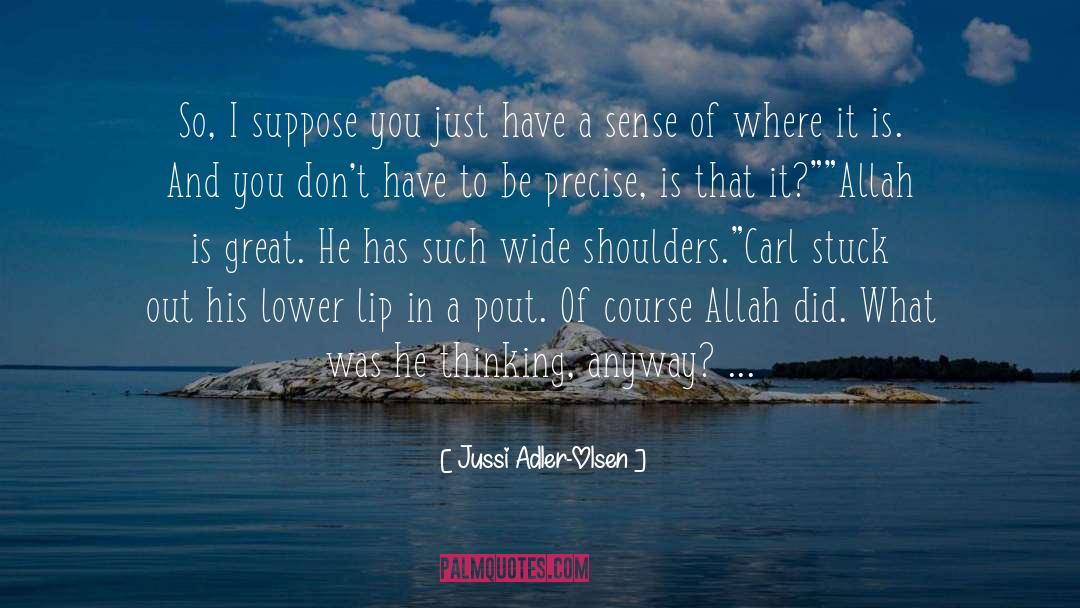Allah Is Best Planner quotes by Jussi Adler-Olsen