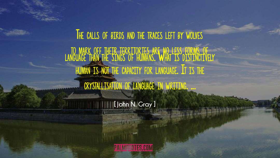 Allan Gray Online quotes by John N. Gray