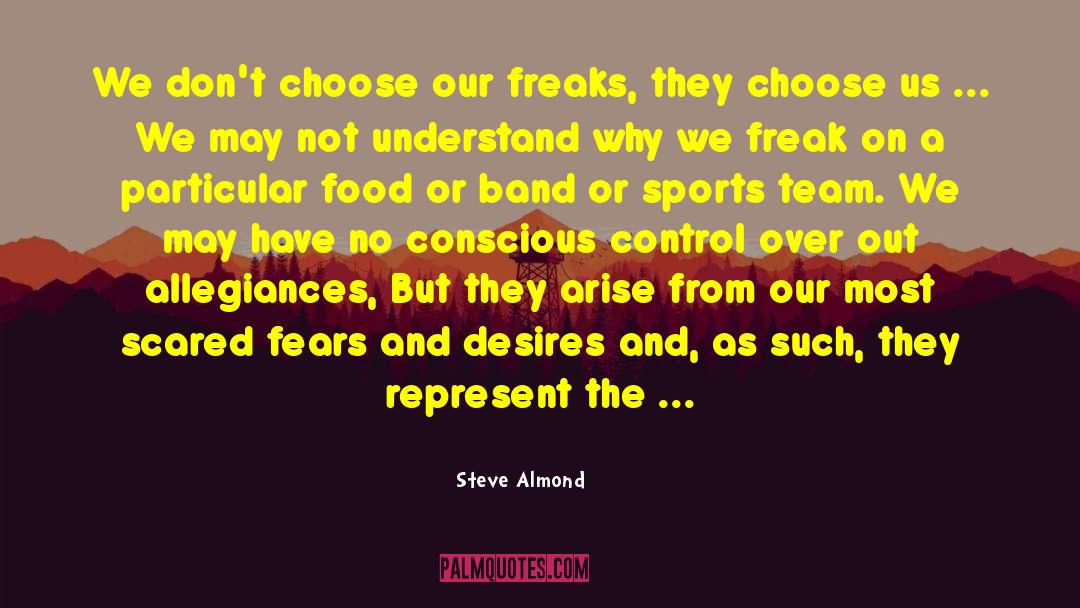 Allegiances quotes by Steve Almond
