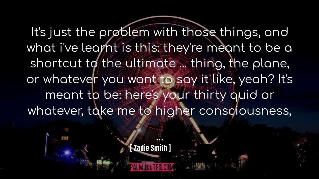 Allegory quotes by Zadie Smith