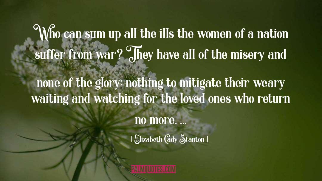 Alleviate Suffering quotes by Elizabeth Cady Stanton