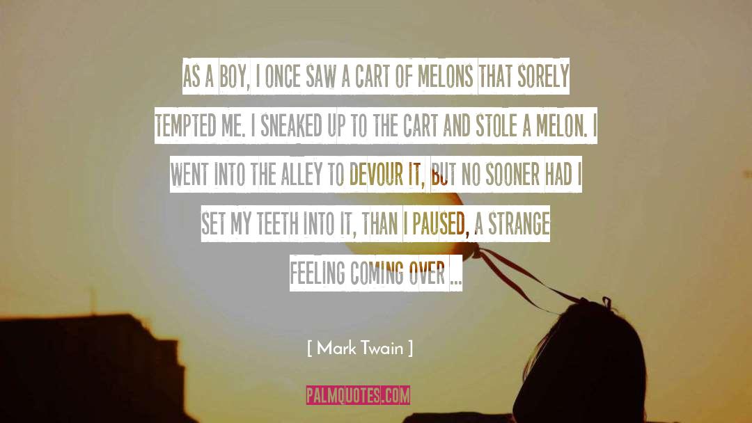 Alleys quotes by Mark Twain