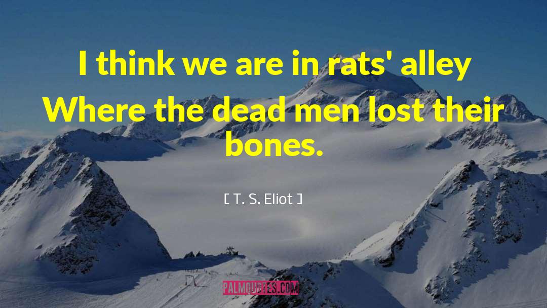 Alleys quotes by T. S. Eliot