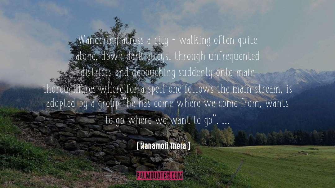 Alleys quotes by Nanamoli Thera
