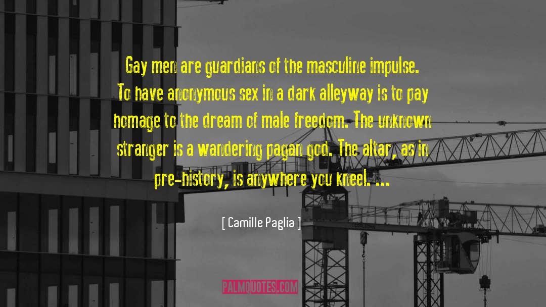 Alleyway quotes by Camille Paglia