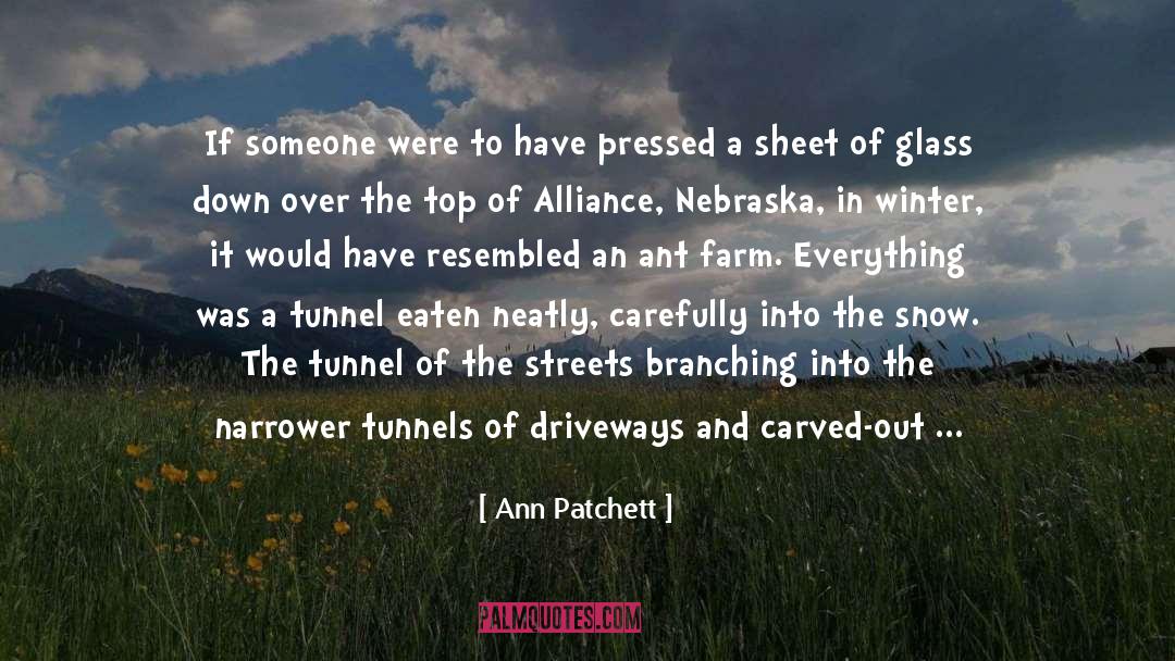 Alliance quotes by Ann Patchett