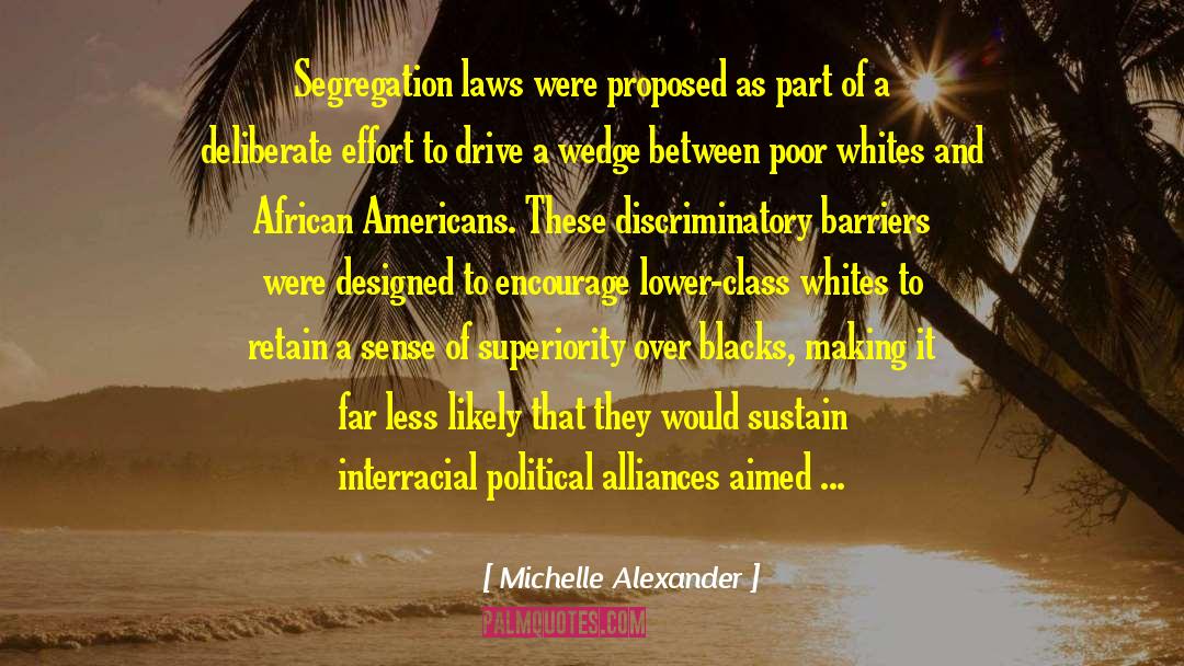 Alliances quotes by Michelle Alexander