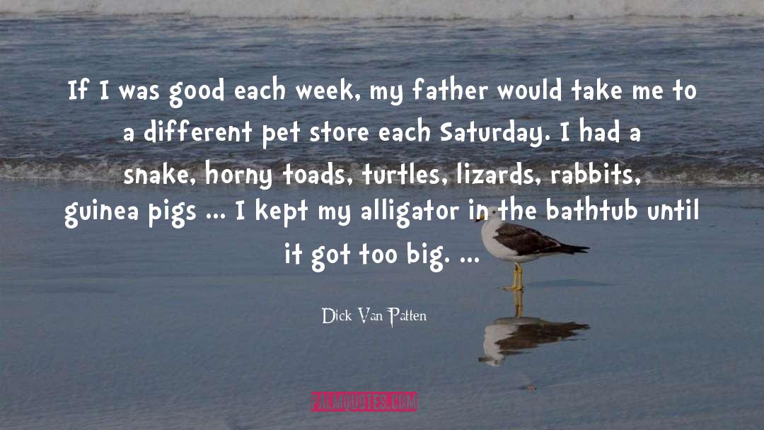 Alligator quotes by Dick Van Patten