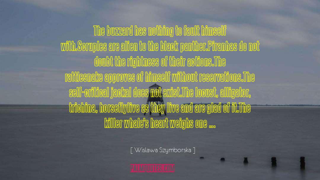 Alligator quotes by Wislawa Szymborska