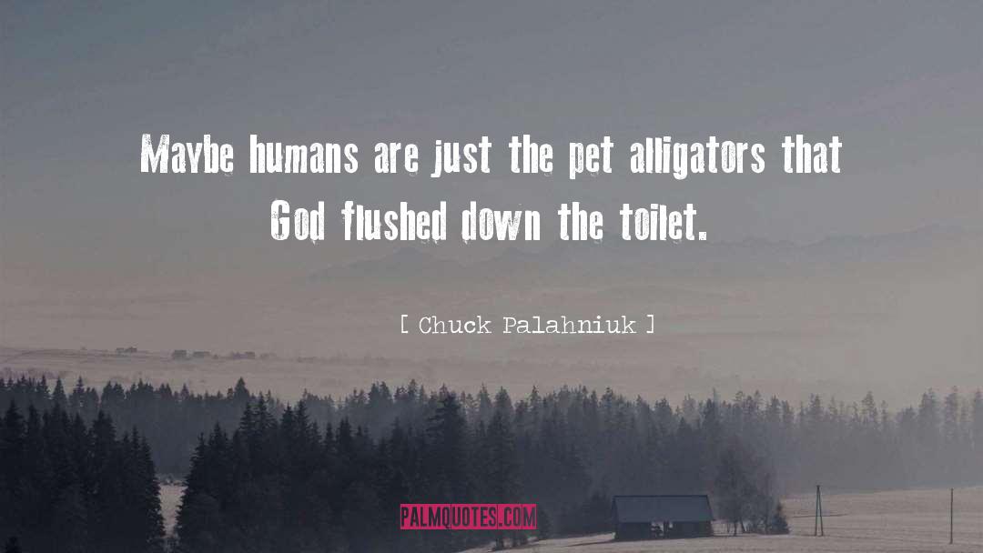Alligators quotes by Chuck Palahniuk
