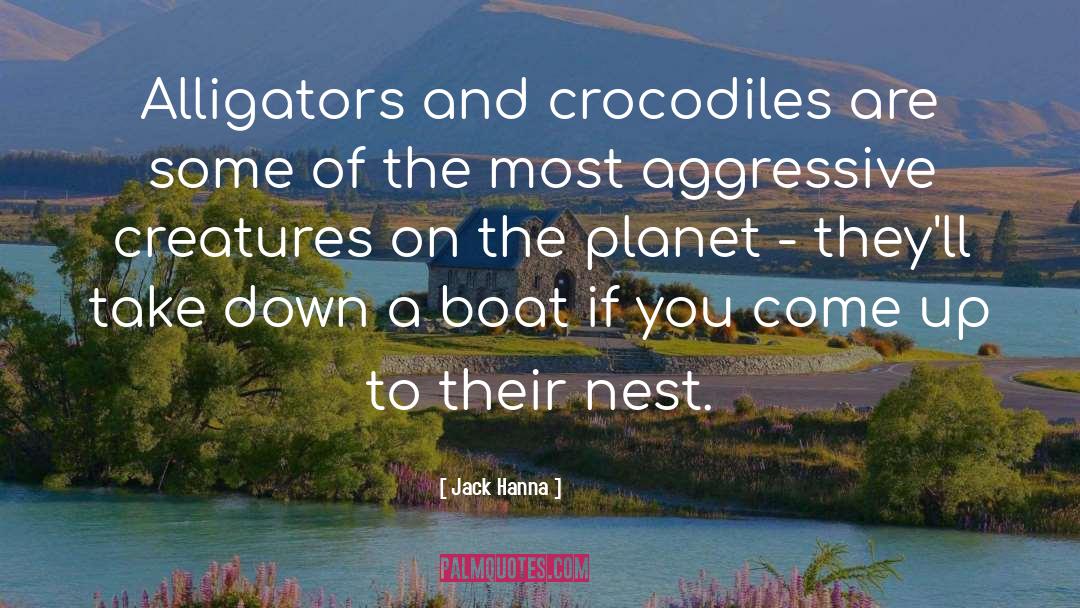 Alligators quotes by Jack Hanna